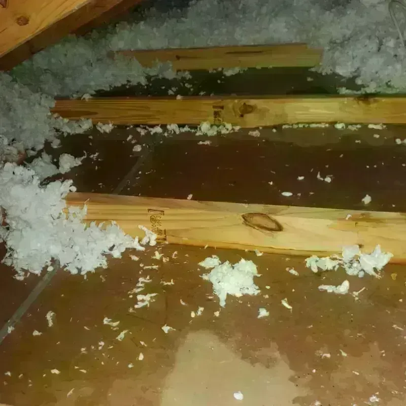 Attic Water Damage in Miami County, IN