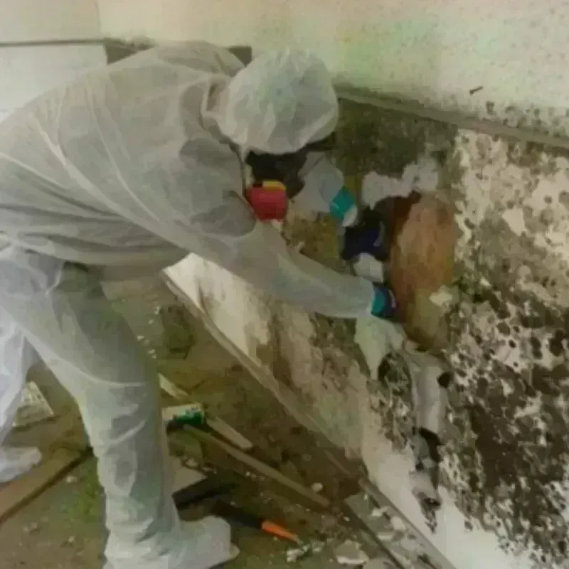 Mold Remediation and Removal in Miami County, IN