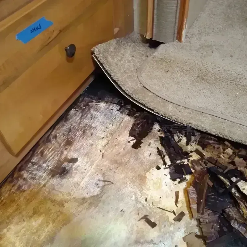 Best Wood Floor Water Damage Service in Miami County, IN